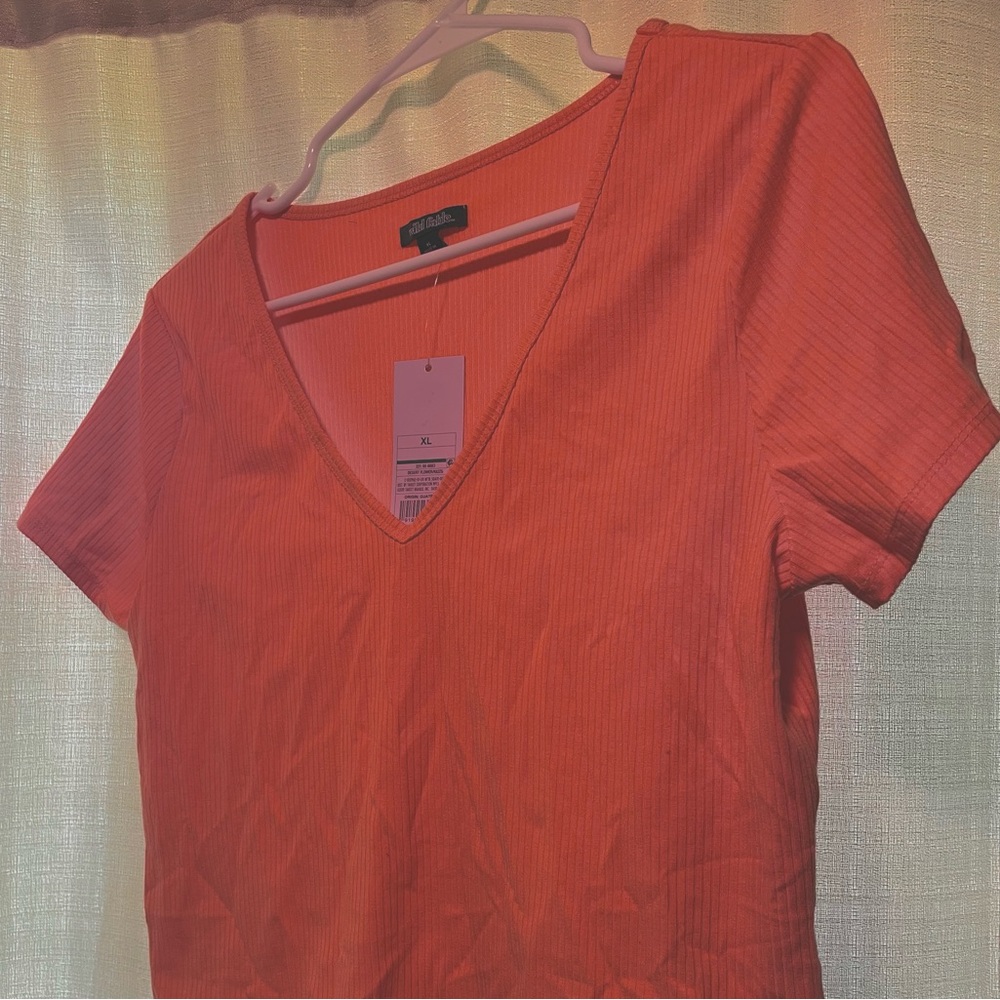 Wild Fable Crop Top